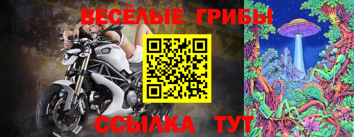 даркнет сайт  Анжеро-Судженск  Галлюциногенные грибы Psilocybe 