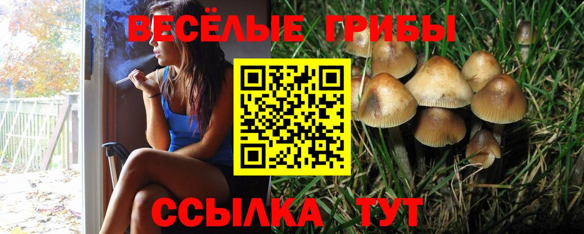 Анжеро-Судженск  Галлюциногенные грибы мицелий  Вход с VPN  сколько стоит  Псилоцибиновые грибы мухоморы 